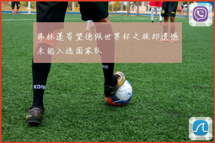 弗林蓬寄望德佩世界杯之旅却遗憾未能入选国家队