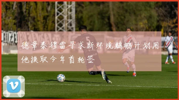 德章泰穆雷寻求新环境鹈鹕计划用他换取今年首轮签
